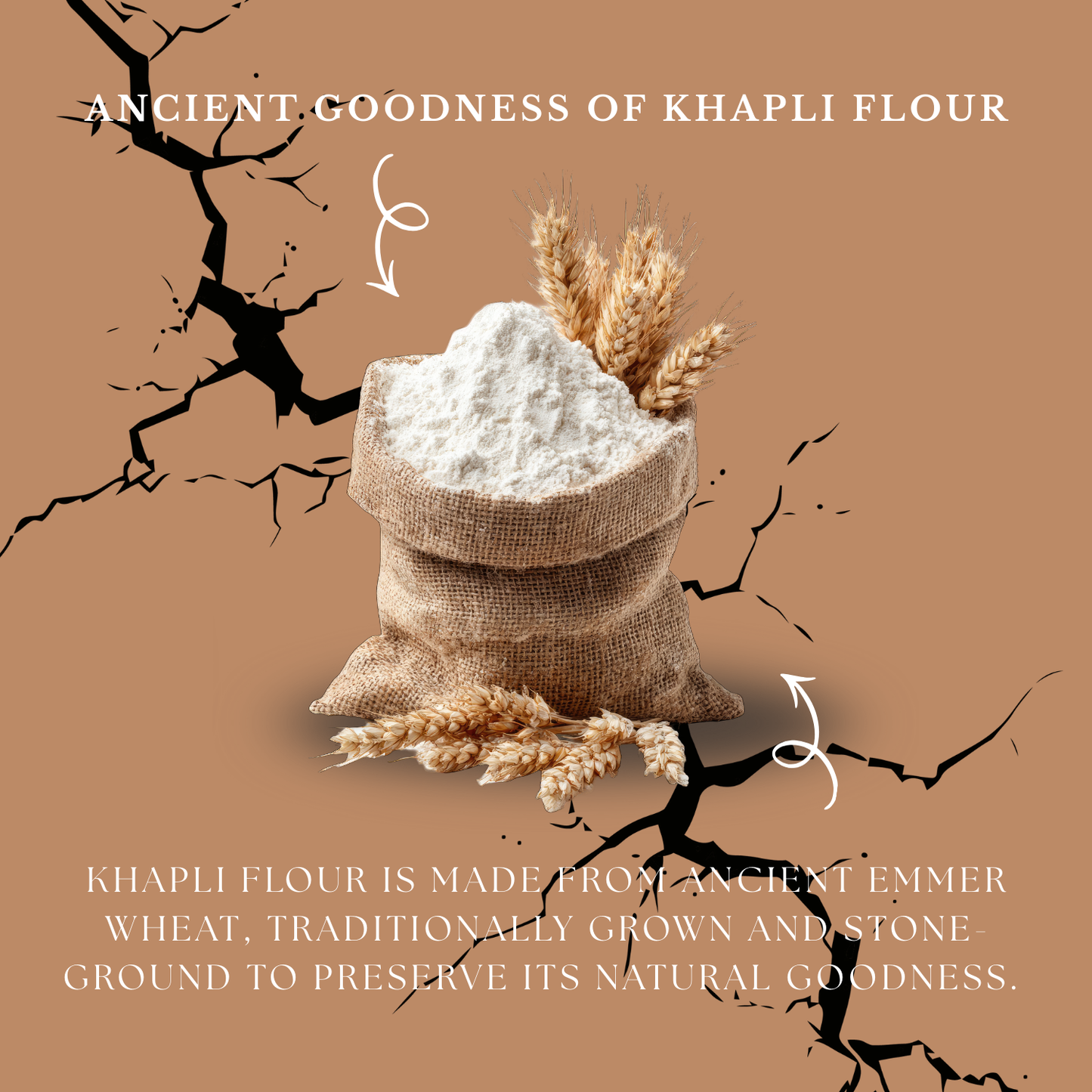 Khapli Flour (800g)