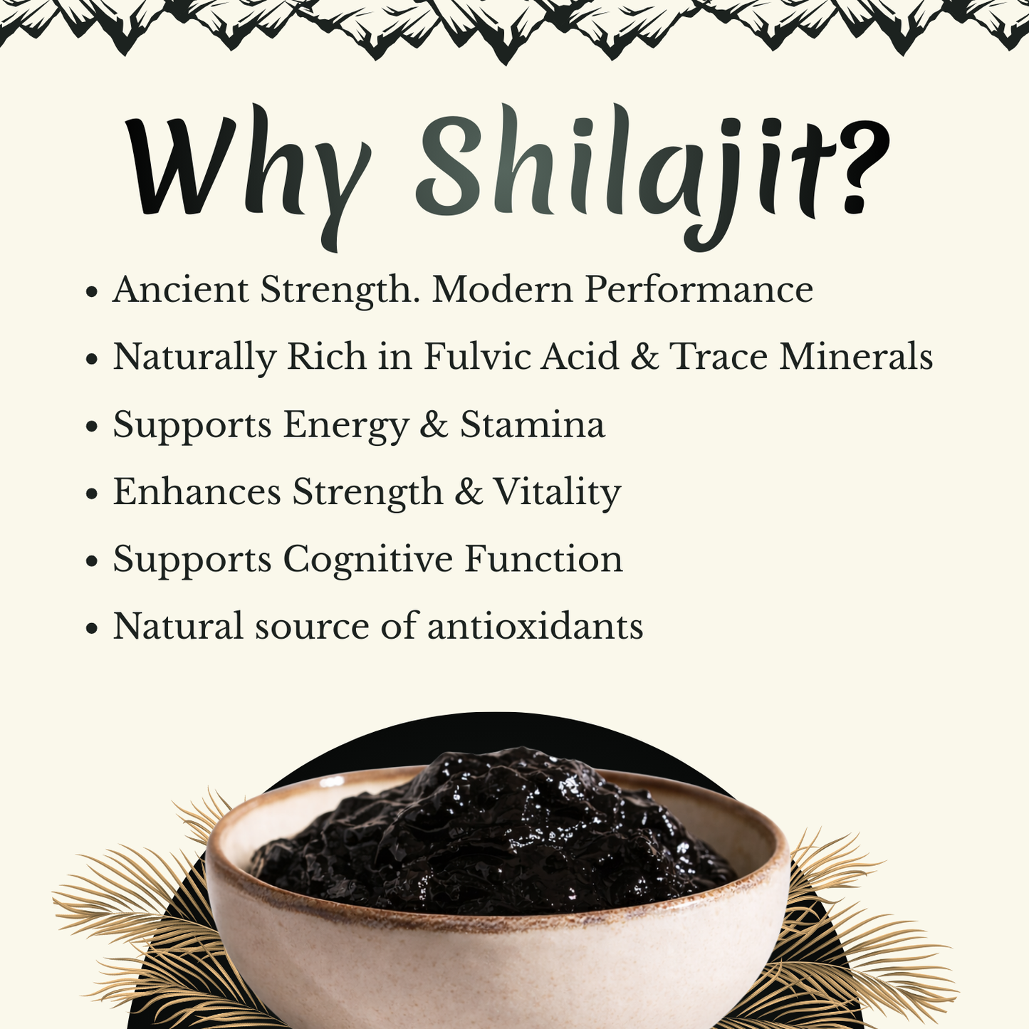Himalayan Shilajit (20g)
