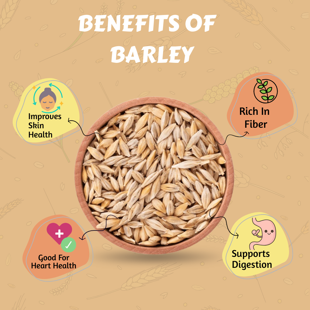 Barley