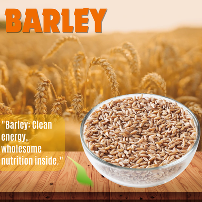 Barley