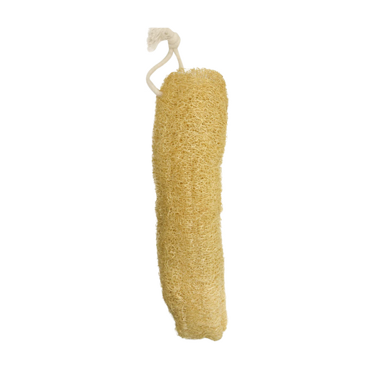 Loofah (Natural Bath Sponge)
