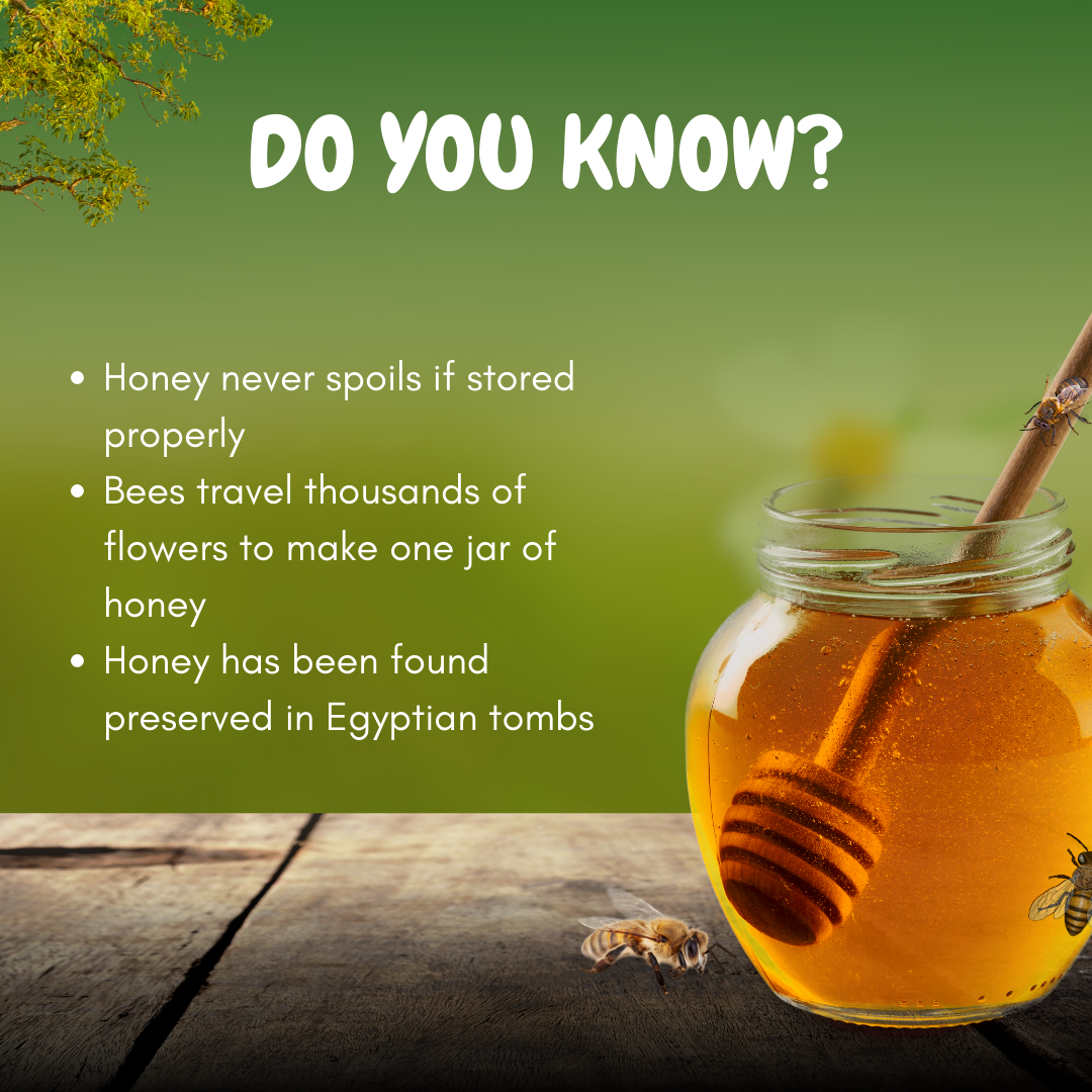 Jar of honey with a honeycomb stick on a wooden surface, green background with text about honey facts.