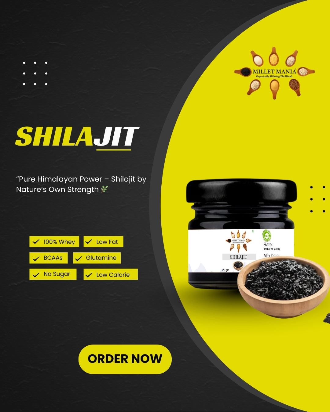 Himalayan Shilajit (20g)