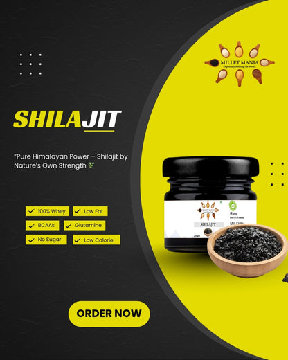 Himalayan Shilajit (20g)