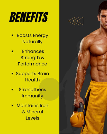 Himalayan Shilajit (20g)