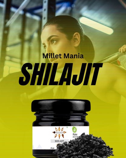 Himalayan Shilajit (20g)