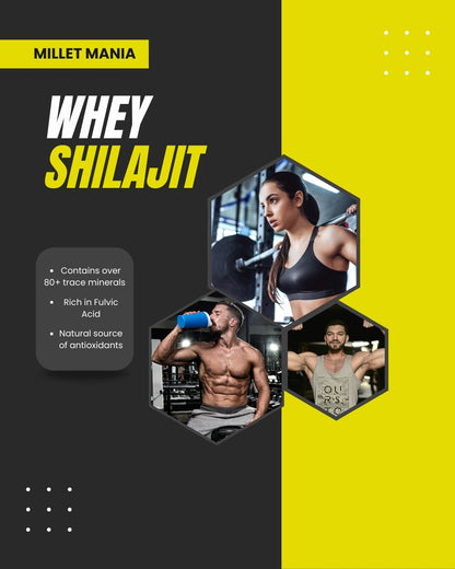 Himalayan Shilajit (20g)