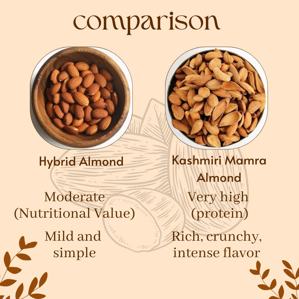 Comparison chart of Hybrid Almond and Kashmiri Mamra Almond with nutritional information on a beige background.