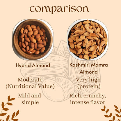 Comparison chart of Hybrid Almond and Kashmiri Mamra Almond with nutritional information on a beige background.