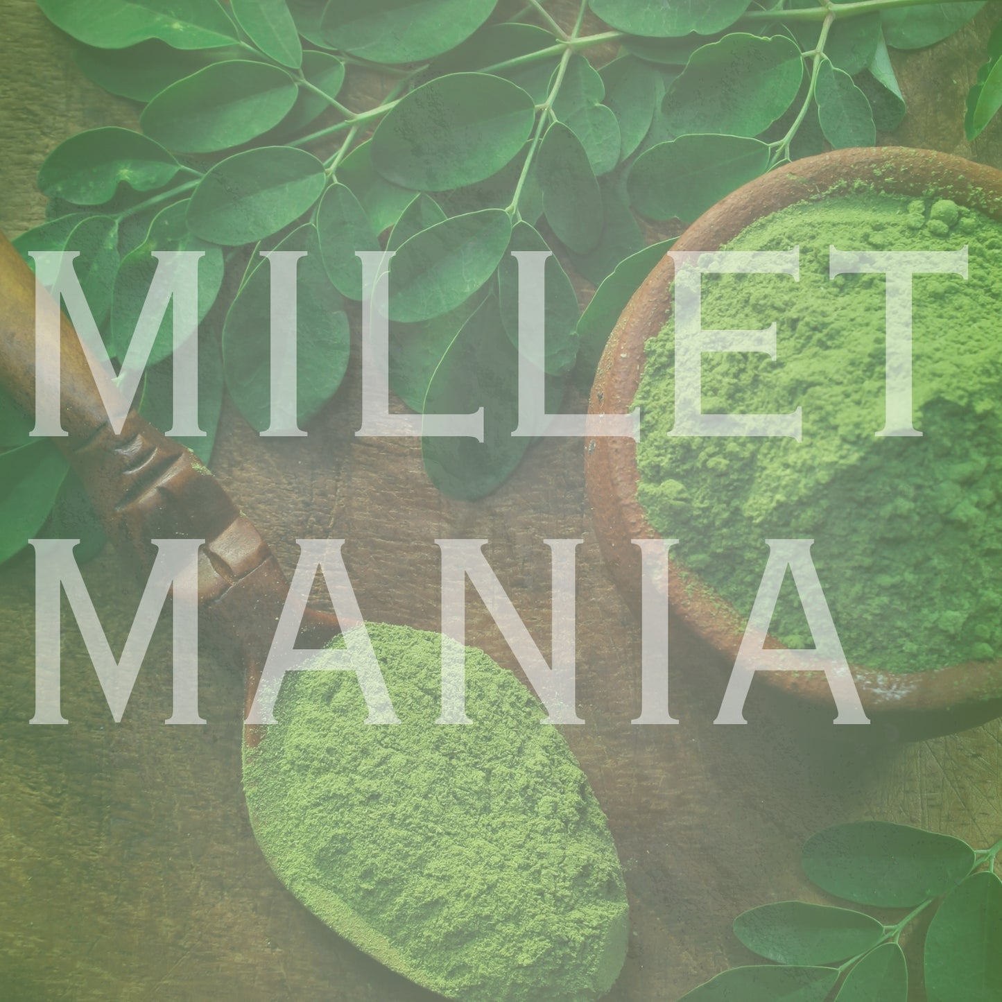 Moringa Powder (100g)